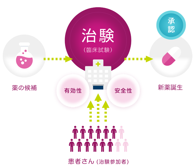 臨床試験(治験)