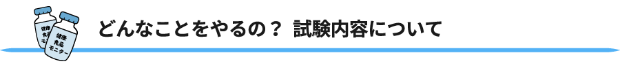 どんなことをやるの？試験内容について