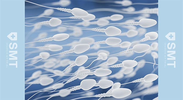 精子の数